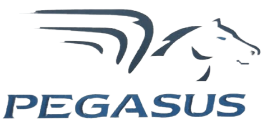 Pegasus Tyres logo